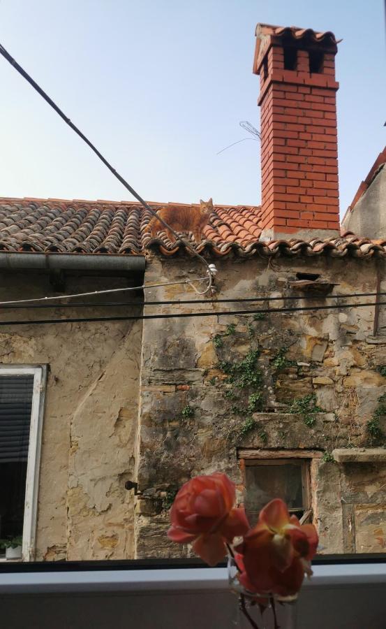 Apartment Terassin Koper Buitenkant foto